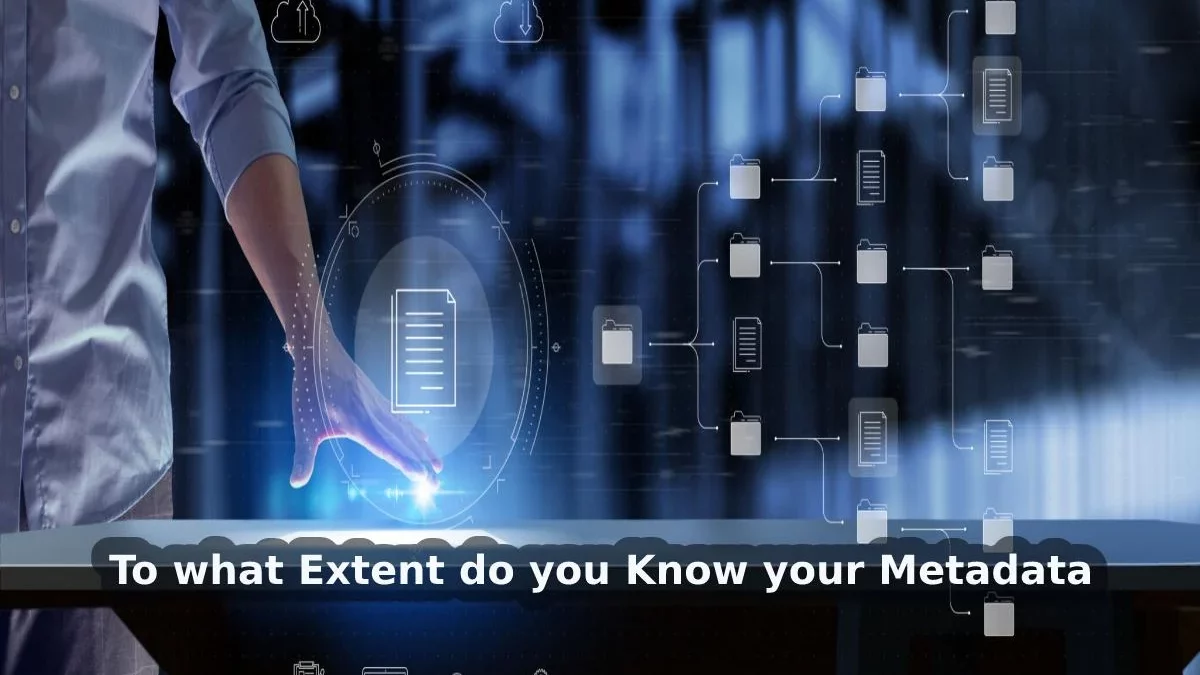 To what Extent do you Know your Metadata?