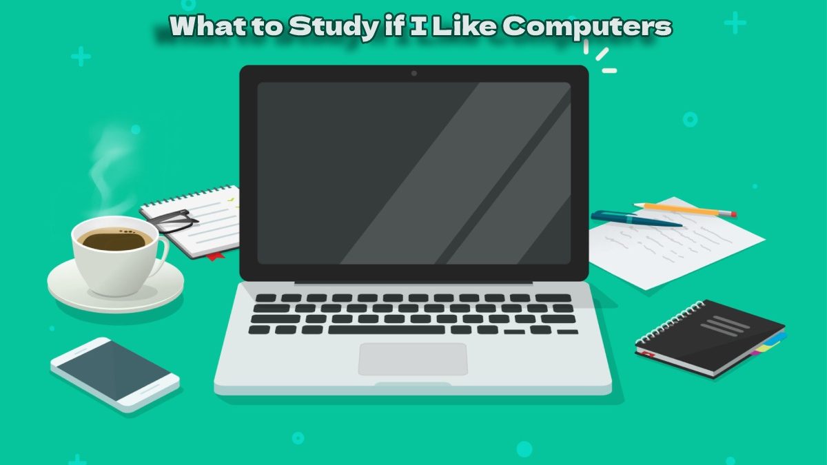 What to Study if I Like Computers