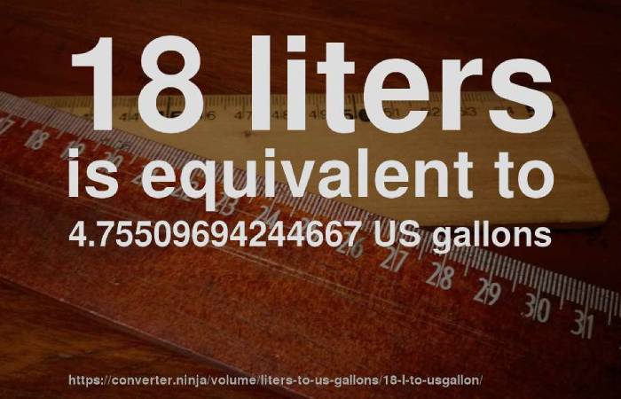 18 liters to gallons 