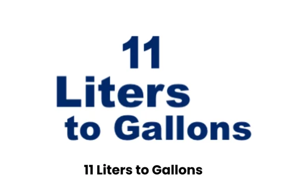 Convert 11 Liters to Gallons