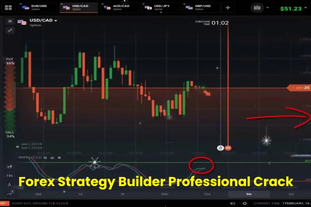 Forex Strategy Builder Professional Crack