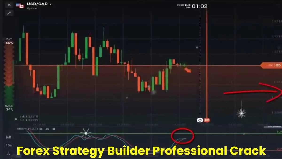 Forex Strategy Builder Professional Crack
