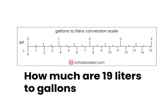 19 liters to gallons