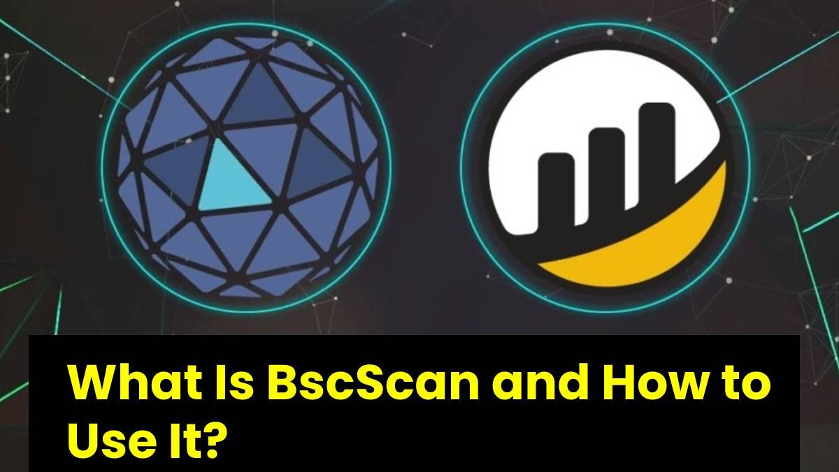 What Is BscScan and How to Use It?