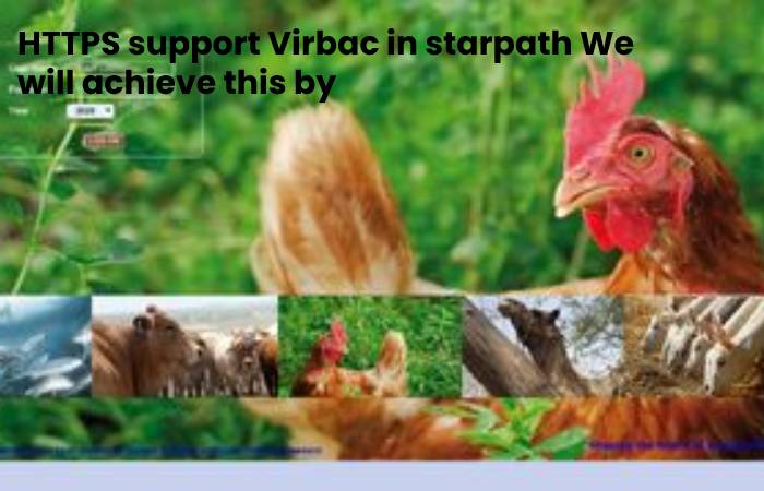https esupport virbac in starpath We will achieve this by