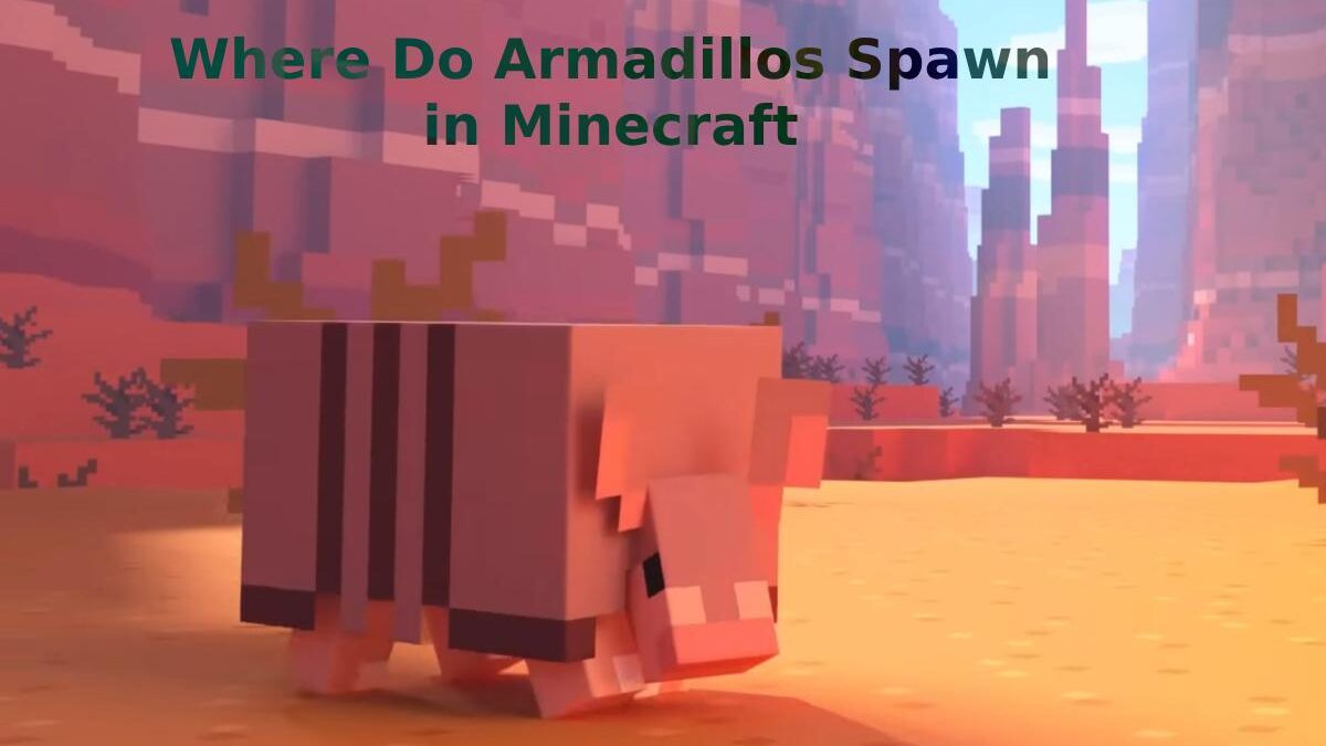 Where Do Armadillos Spawn in Minecraft: Complete Guide to Finding These Cute Mobs