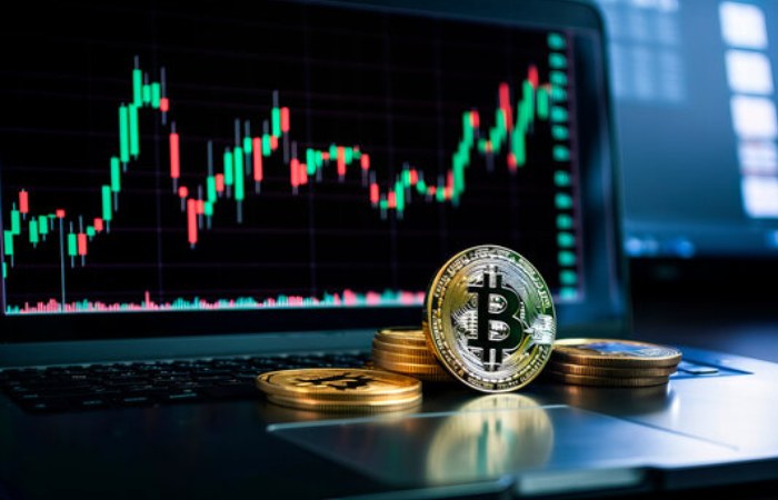 Cryptogugu
